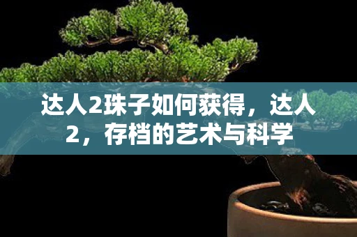 达人2珠子如何获得，达人2，存档的艺术与科学