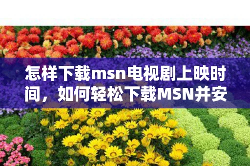 怎样下载msn电视剧上映时间，如何轻松下载MSN并安全使用