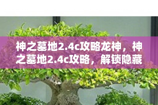 神之墓地2.4c攻略龙神，神之墓地2.4c攻略，解锁隐藏关卡，提升战力全攻略