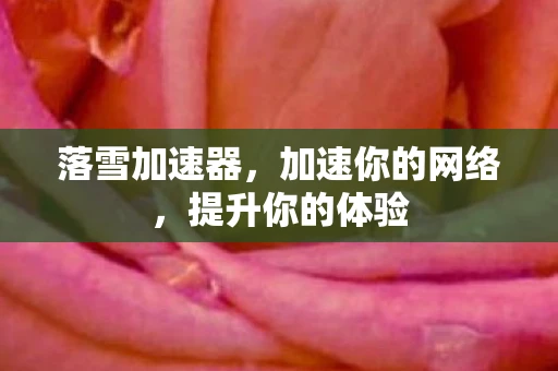 落雪加速器，加速你的网络，提升你的体验