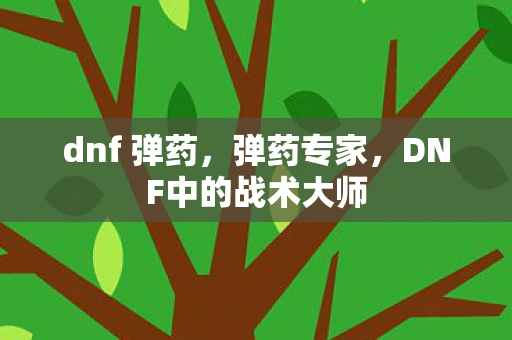 dnf 弹药，弹药专家，DNF中的战术大师