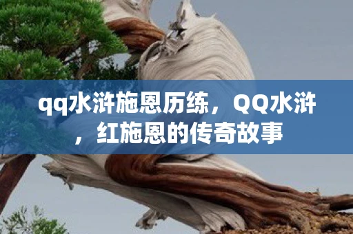 qq水浒施恩历练，QQ水浒，红施恩的传奇故事