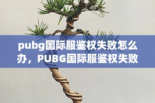 pubg国际服鉴权失败怎么办，PUBG国际服鉴权失败，原因分析与解决策略