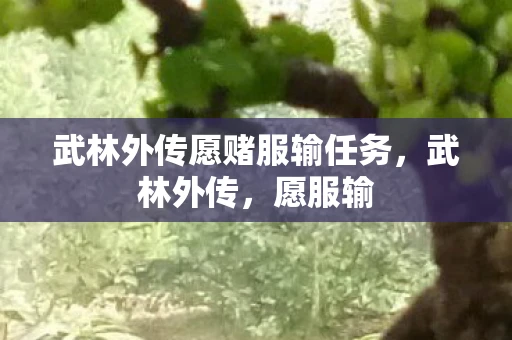 武林外传愿赌服输任务，武林外传，愿服输