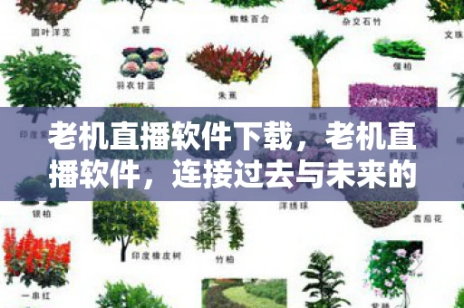 老机直播软件下载，老机直播软件，连接过去与未来的桥梁
