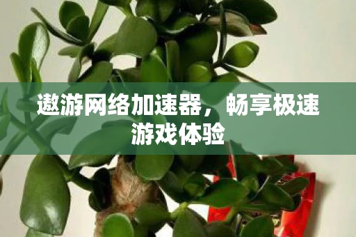 畅享极速游戏体验图片
