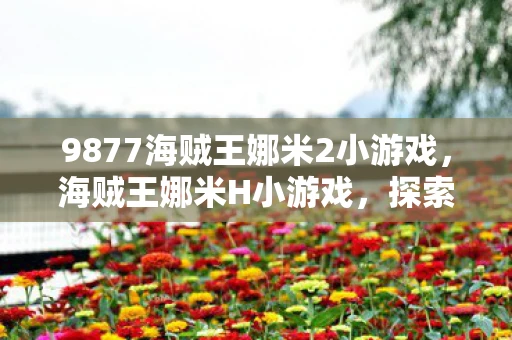9877海贼王娜米2小游戏，海贼王娜米H小游戏，探索未知海域的冒险之旅