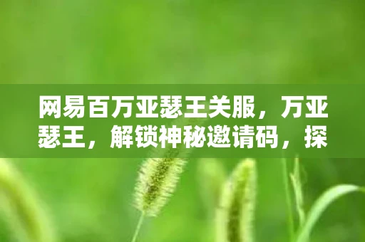 网易百万亚瑟王关服，万亚瑟王，解锁神秘邀请码，探索未知游戏世界