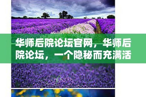 华师后院论坛官网，华师后院论坛，一个隐秘而充满活力的学术社群