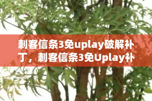 刺客信条3免uplay破解补丁，刺客信条3免Uplay补丁，解锁游戏自由的钥匙