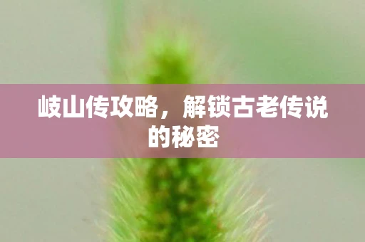 岐山传攻略，解锁古老传说的秘密