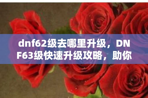 dnf62级去哪里升级，DNF63级快速升级攻略，助你飞速提升等级