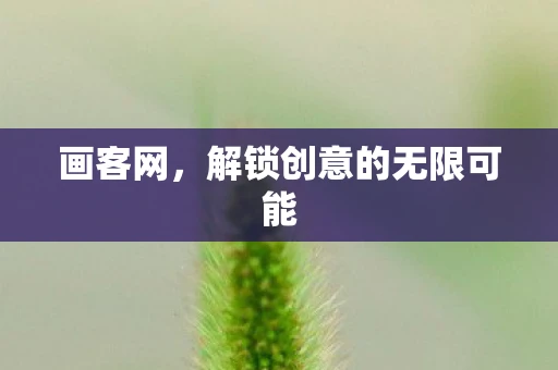 画客网，解锁创意的无限可能