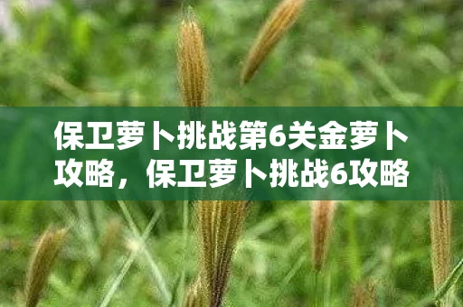 保卫萝卜挑战第6关金萝卜攻略，保卫萝卜挑战6攻略，金萝卜布阵图详解