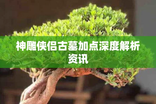 神雕侠侣古墓加点深度解析资讯图片