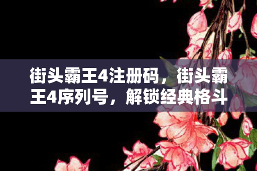 街头霸王4注册码，街头霸王4序列号，解锁经典格斗游戏的钥匙