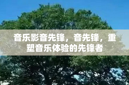 音乐影音先锋，音先锋，重塑音乐体验的先锋者