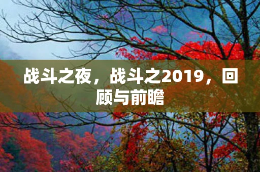 战斗之夜，战斗之2019，回顾与前瞻