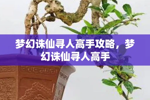 梦幻诛仙寻人高手攻略，梦幻诛仙寻人高手