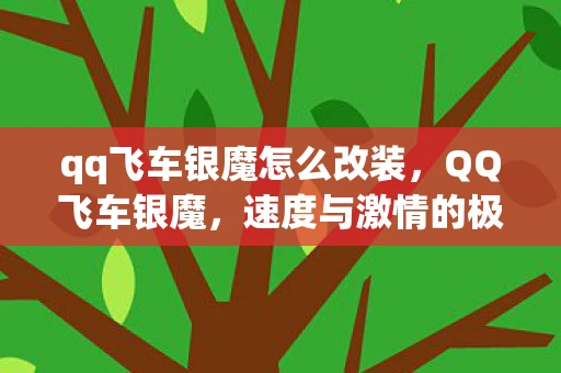 qq飞车银魔怎么改装，QQ飞车银魔，速度与激情的极致体验