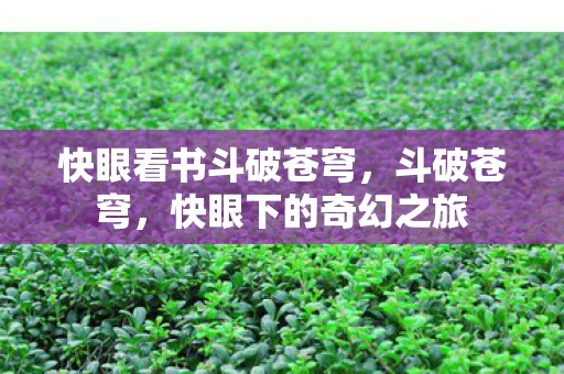 快眼看书斗破苍穹，斗破苍穹，快眼下的奇幻之旅
