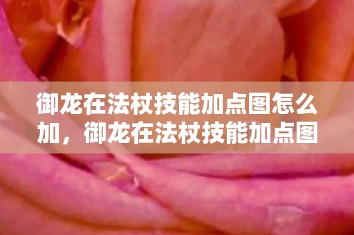 御龙在法杖技能加点图怎么加，御龙在法杖技能加点图详解
