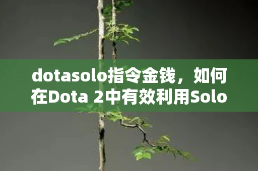 dotasolo指令金钱，如何在Dota 2中有效利用Solo指令提升游戏体验