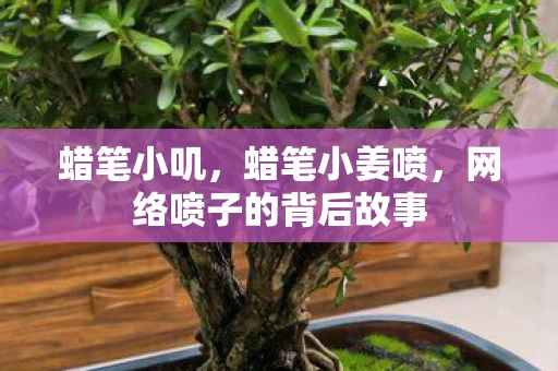 蜡笔小叽，蜡笔小姜喷，网络喷子的背后故事