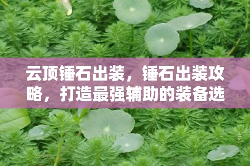 云顶锤石出装，锤石出装攻略，打造最强辅助的装备选择