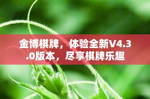 体验全新V4图片