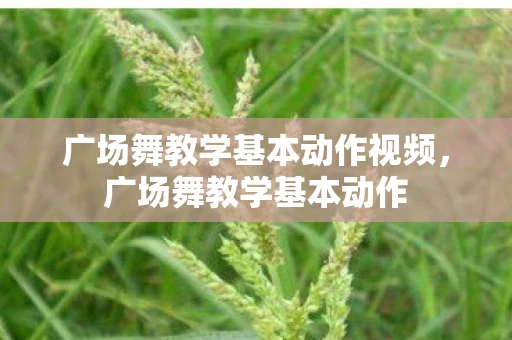 广场舞教学基本动作视频，广场舞教学基本动作