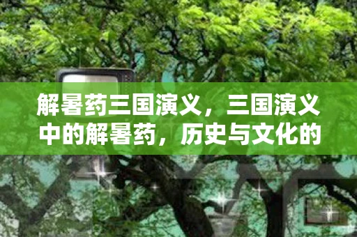 解暑药三国演义，三国演义中的解暑药，历史与文化的交汇