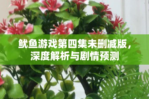 鱿鱼游戏第四集未删减版，深度解析与剧情预测