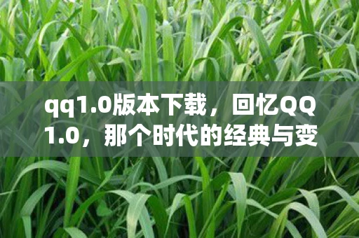 qq1.0版本下载，回忆QQ1.0，那个时代的经典与变迁