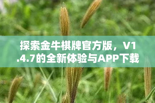 7的全新体验与APP下载指南图片