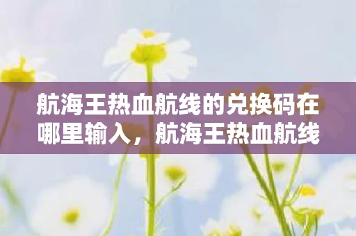 航海王热血航线的兑换码在哪里输入，航海王热血航线兑换码输入指南
