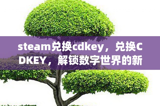 steam兑换cdkey，兑换CDKEY，解锁数字世界的新钥匙