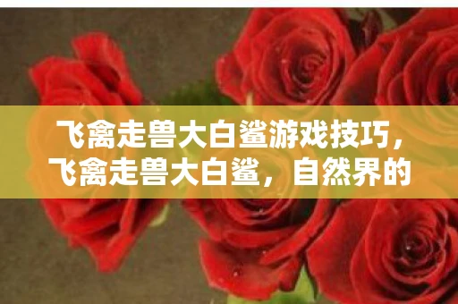 飞禽走兽大白鲨游戏技巧，飞禽走兽大白鲨，自然界的奇妙规律