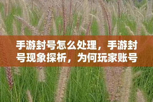 手游封号怎么处理，手游封号现象探析，为何玩家账号被啧啧封禁？