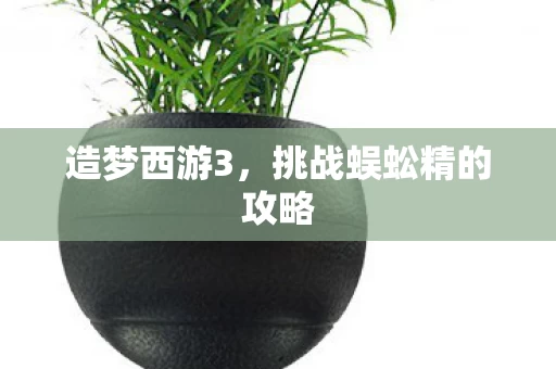 挑战蜈蚣精的攻略图片