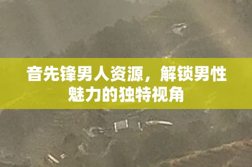 音先锋男人资源，解锁男性魅力的独特视角