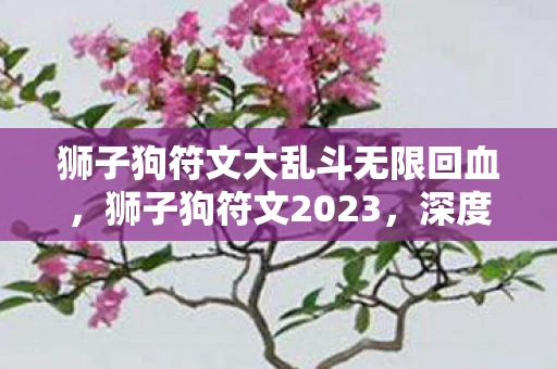 狮子狗符文大乱斗无限回血，狮子狗符文2023，深度解析与实战应用
