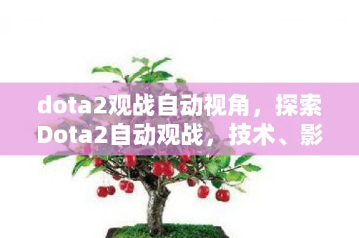 dota2观战自动视角，探索Dota2自动观战，技术、影响与未来展望