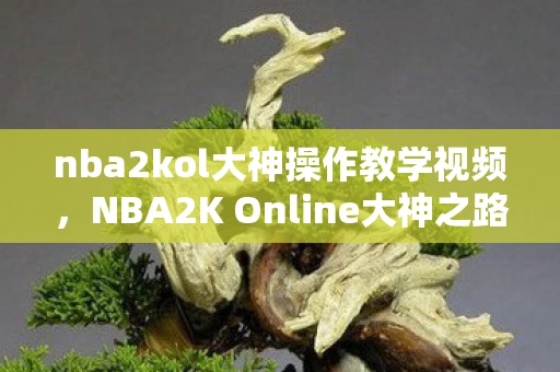 nba2kol大神操作教学视频，NBA2K Online大神之路，从新手到高手的蜕变