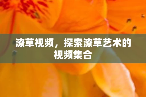 探索潦草艺术的视频集合图片