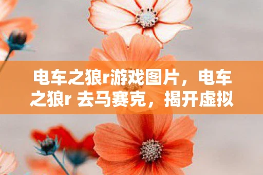 电车之狼r游戏图片，电车之狼r 去马赛克，揭开虚拟世界的面纱