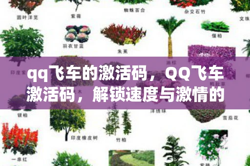 qq飞车的激活码，QQ飞车激活码，解锁速度与激情的钥匙