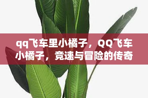 qq飞车里小橘子，QQ飞车小橘子，竞速与冒险的传奇之旅