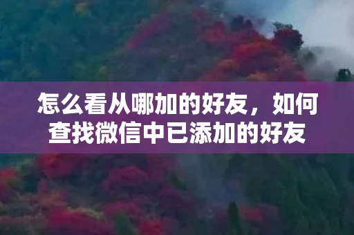 怎么看从哪加的好友，如何查找微信中已添加的好友