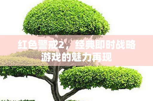 经典即时战略游戏的魅力再现图片